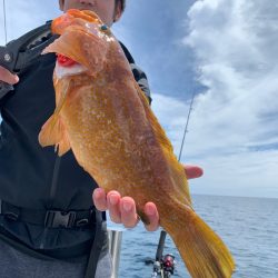 エヌスタイル 釣果