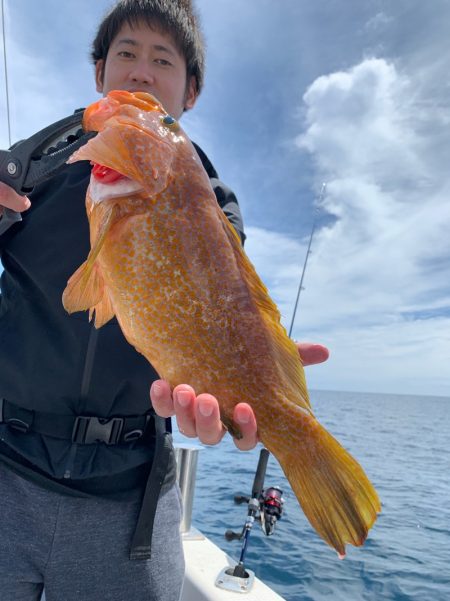 エヌスタイル 釣果