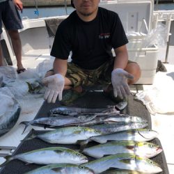 ビッグファイター 釣果