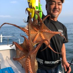 ビッグファイター 釣果