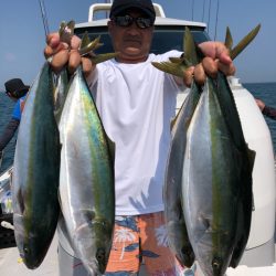 ビッグファイター 釣果