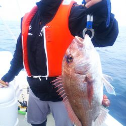 ブルドック 釣果