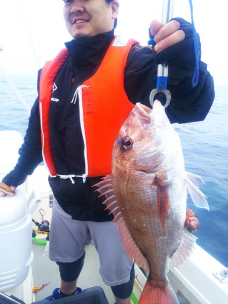 ブルドック 釣果