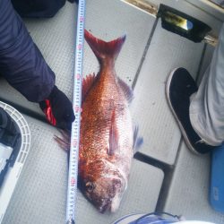 ブルドック 釣果