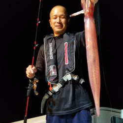 アマテラス 釣果