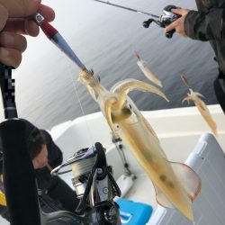 「LaGooN」蒼陽丸 日和号 釣果