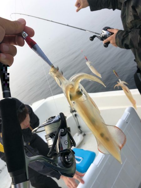 「LaGooN」蒼陽丸 日和号 釣果
