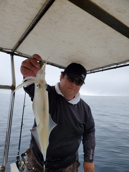 ソルトウォーターガイドフレンズ 釣果