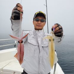 ソルトウォーターガイドフレンズ 釣果