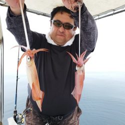 ソルトウォーターガイドフレンズ 釣果