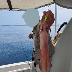 ソルトウォーターガイドフレンズ 釣果