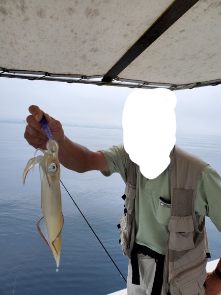 ソルトウォーターガイドフレンズ 釣果