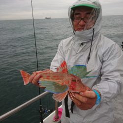 ありもと丸 釣果