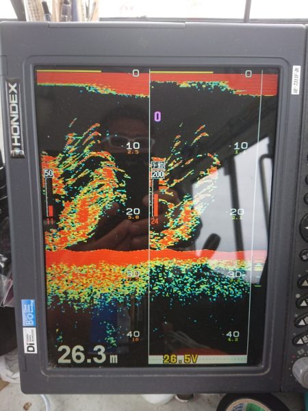 ありもと丸 釣果