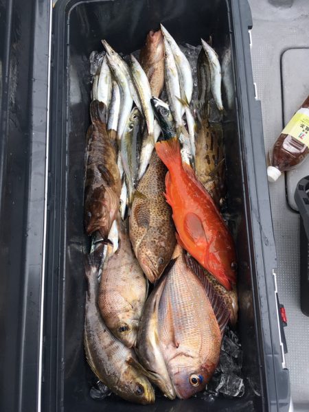 渡船屋たにぐち 釣果