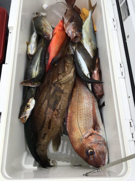 渡船屋たにぐち 釣果