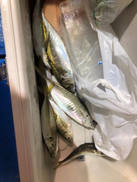 海龍丸（石川） 釣果