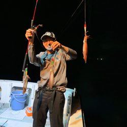 アマテラス 釣果