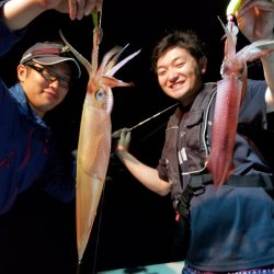 アマテラス 釣果