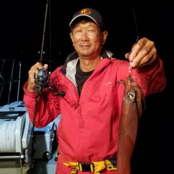 アマテラス 釣果