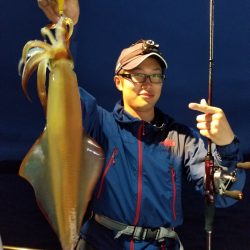 アマテラス 釣果