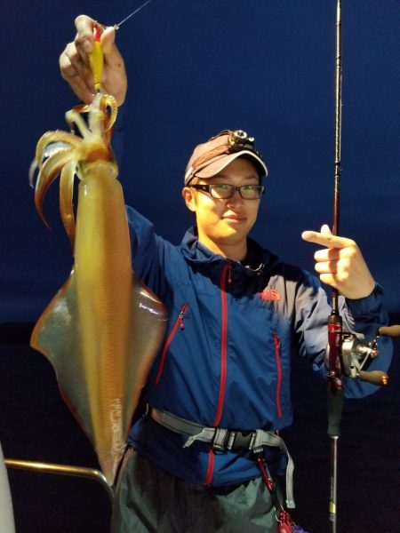 アマテラス 釣果