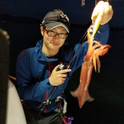 アマテラス 釣果