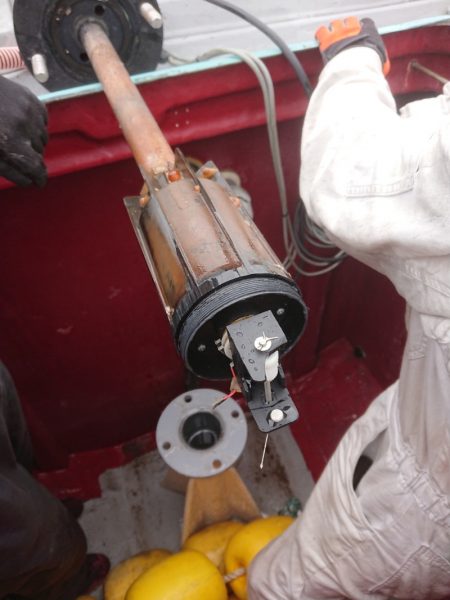 ありもと丸 釣果