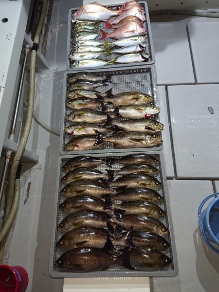 エンペラー 釣果