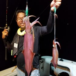 アマテラス 釣果