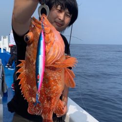 釣鯛洋 釣果