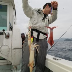 アマテラス 釣果