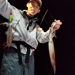 アマテラス 釣果