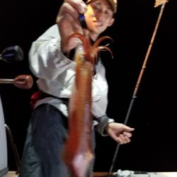 アマテラス 釣果