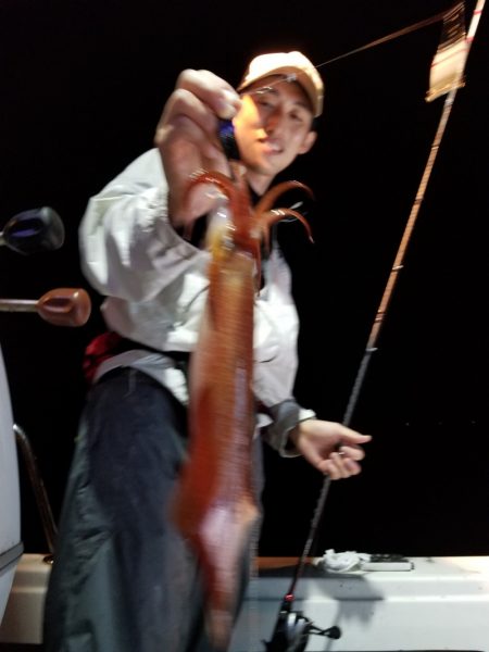 アマテラス 釣果