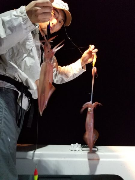 アマテラス 釣果