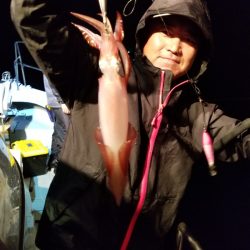 アマテラス 釣果