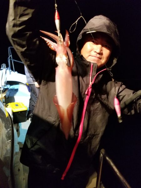 アマテラス 釣果