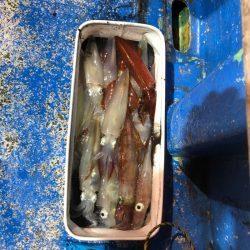 海龍丸（石川） 釣果