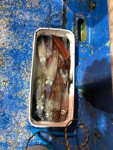 海龍丸（石川） 釣果