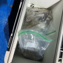 海龍丸（石川） 釣果