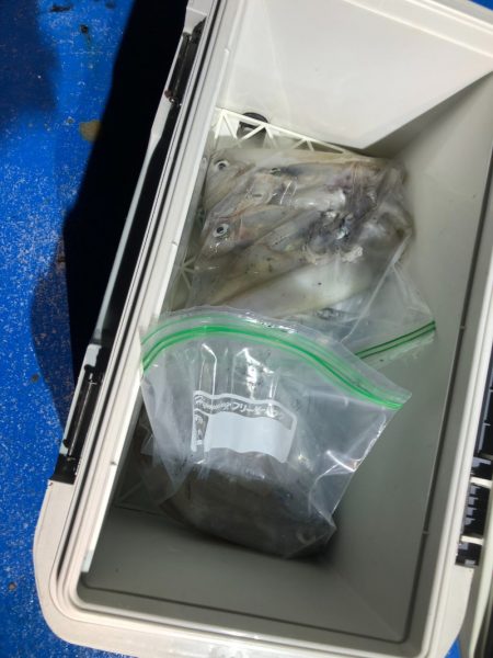 海龍丸（石川） 釣果