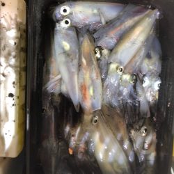 海龍丸（石川） 釣果