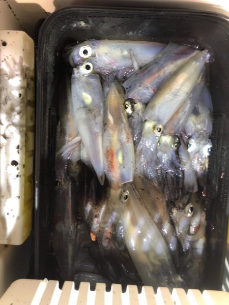 海龍丸（石川） 釣果