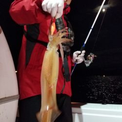 アマテラス 釣果