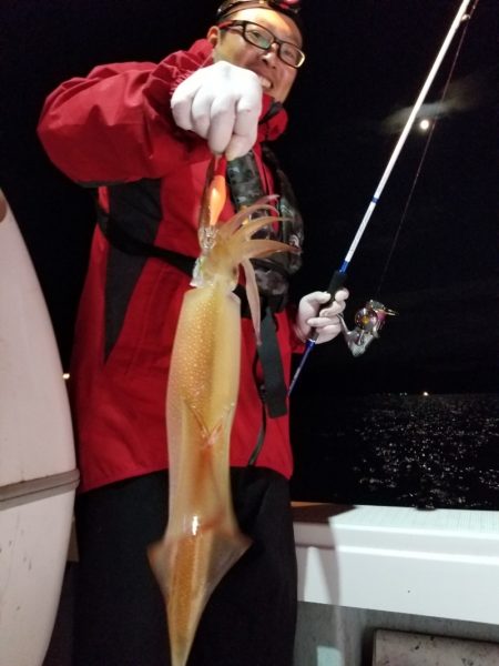 アマテラス 釣果