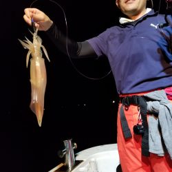 アマテラス 釣果