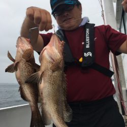 渡船屋たにぐち 釣果