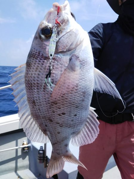光生丸 釣果
