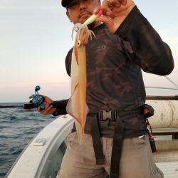 アマテラス 釣果